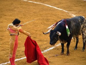 This House Would Ban Spanish Bullfighting
