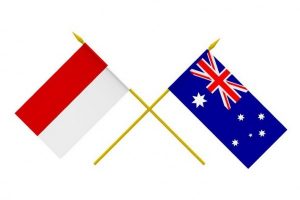 This House Believes That Indonesia Should Use Economic Diplomacy Instead of Cultural Diplomacy in Strengthening Relationship with Australia