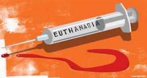 This House Would Offer Terminally Ill Patients the Option of a Cash Grant If They Forgo Treatment and Consent to Early Euthanasia