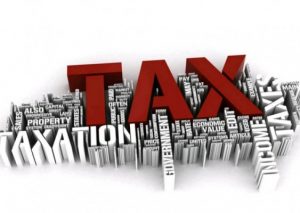 This House Believes That Low Taxes are More Preferable for Further Governmental Services